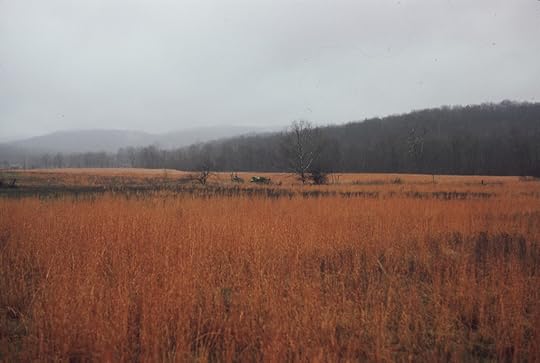 Autosave-File vom d-lab2/3 der AgfaPhoto GmbH