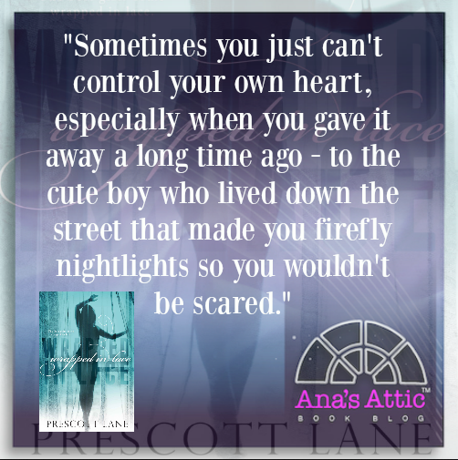 Wrapped in Lace quote