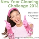 2015 Cleaning Grand Plan