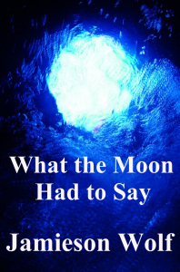 what-the-moon-had-to-say