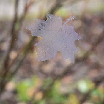 UV decals placed on outside of window