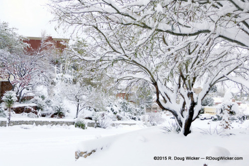 View from Front Yard