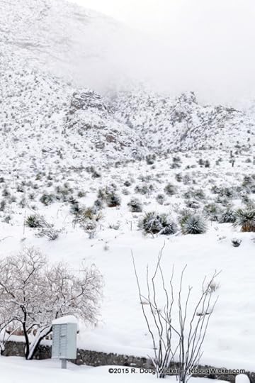 Franklin Mountains in Snow