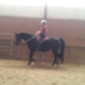 Not cantering or clear, but I love the harmony in this picture.