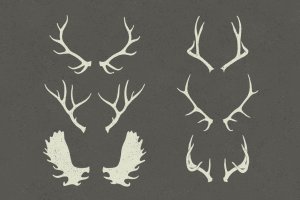 deer-antlers-pair