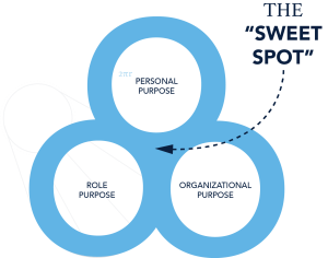Diagram_Sweet Spot_Clear Background (3)