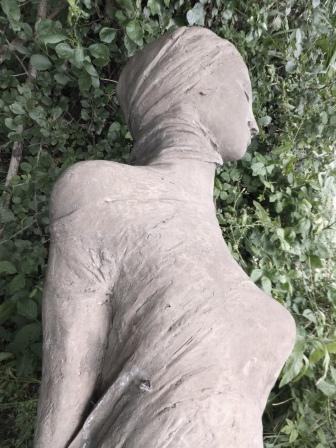 Nail Your Novel literary