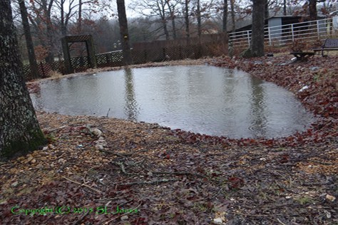 Patrick Jones Pond Overflows