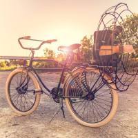 The Screaming Rabbit