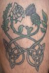 Rose and Thistle