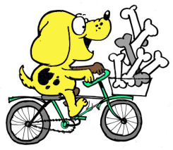 dog on bike