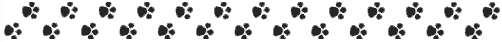 pawprints