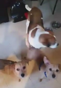 erniebertfurever