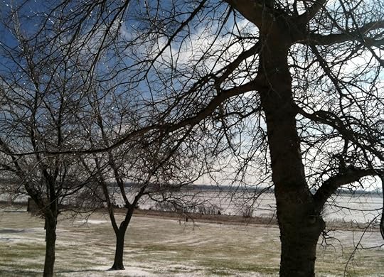 Prairie Winter