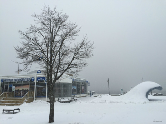 Nova Scotia in the snow (and fog)