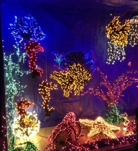 Undersea lights scene at the Bellevue Botanical Gardens