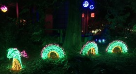 Dragon lights at Bellevue Botanical Gardens