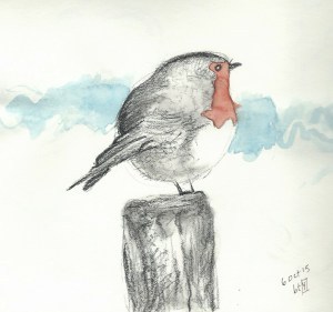 Bird by Betty Marsh