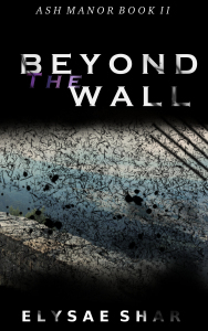 BeyondTheWall