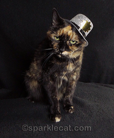 tortoiseshell cat, glitter bowler cat hat