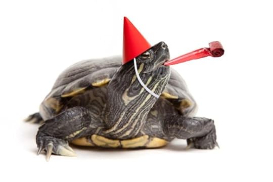 Turtle with red party hat and noisemaker