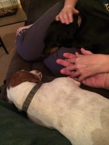 handhold for blog