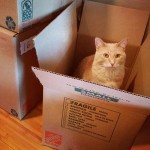 Finn is ready for the move. We are not.