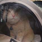 On the third and final day of the drive, Finn has finally had enough of captivity.