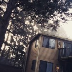 Our new apartment, which we rented sight unseen, turns out to be pretty nice.