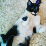 We get a rug. It's a big hit.