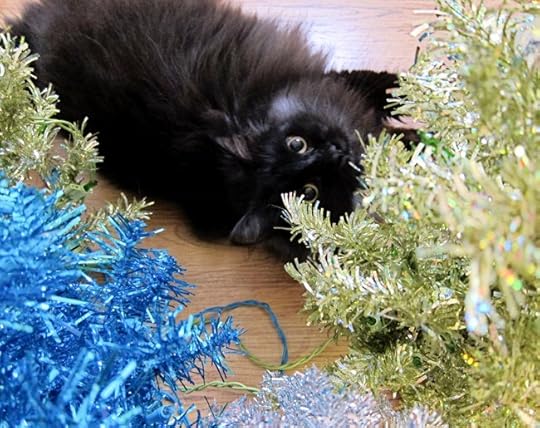 tree cat web