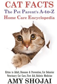 Cat-Facts-Cover-Front-lorez