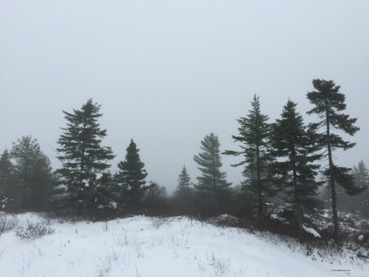 New Year's Eve fog