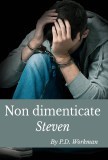 steven IT kindle cover
