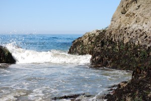 Tofino, Vancouver Island. 2015