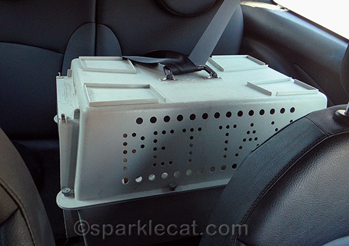 Pet Taxi, kennel for cat travel