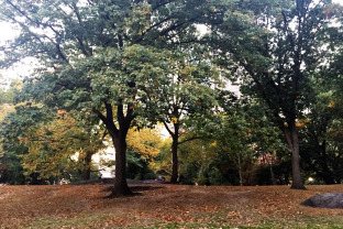 Photo Oct 20, 19 24 24