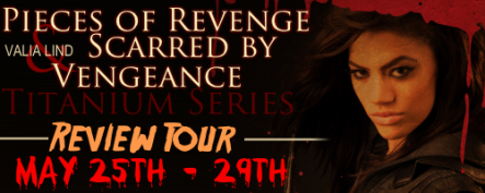 Titanium Series Tour Banner 2