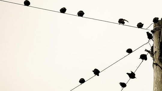 JUN15_08_545754619_b