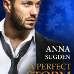 Cover2a-APerfectStorm