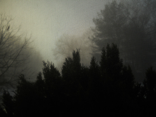 mist through a screen