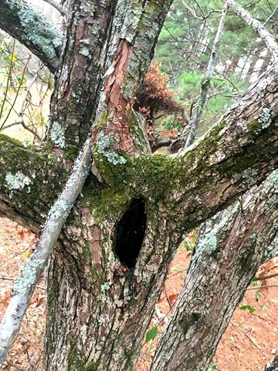 hole