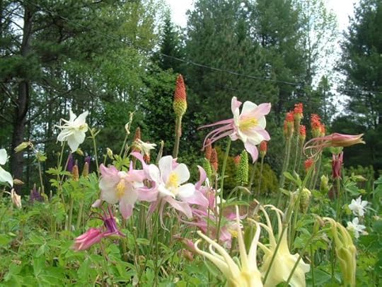 MyGarden_April_17_2012_020_op_640x480