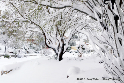 El Paso Snowstorm 2015