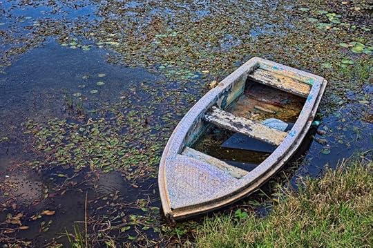 abandoned boat in water
