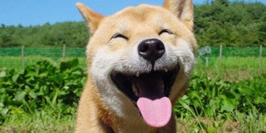 HAPPY-DOG