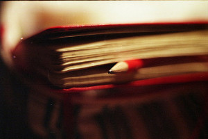 e47054481bede42c_3568645018_0308eb832f_b.preview