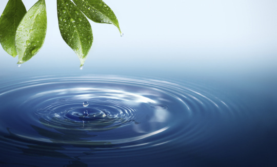 water-life-crop