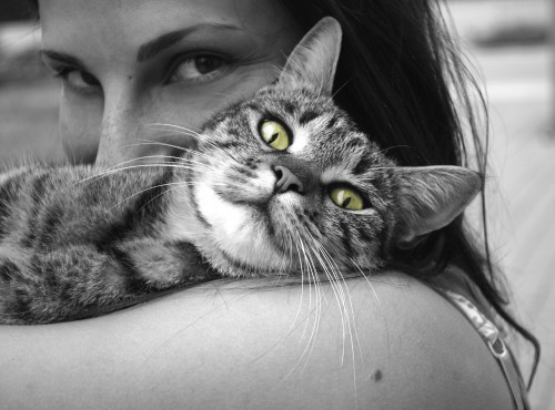cat-with-woman