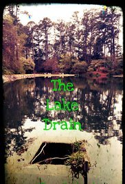 The Lake Drain Poster
